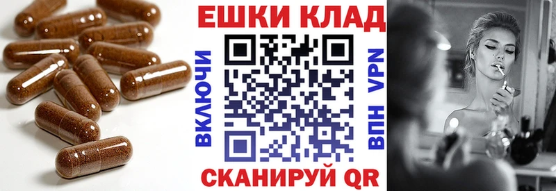 Купить закладки  Сухиничи  Экстази бентли 